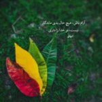 دانلود آهنگ هایده به نام غیر تو (هوش مصنوعی)